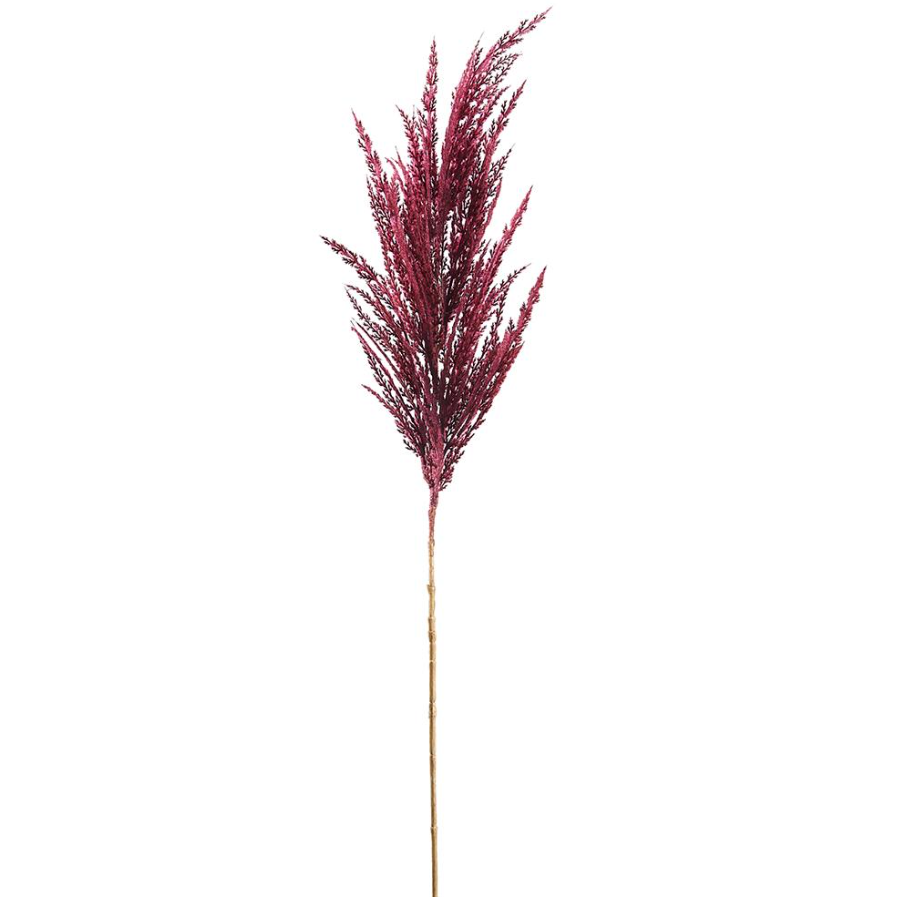 36'' PAMPAS GRASS SRAY BURGUNDY