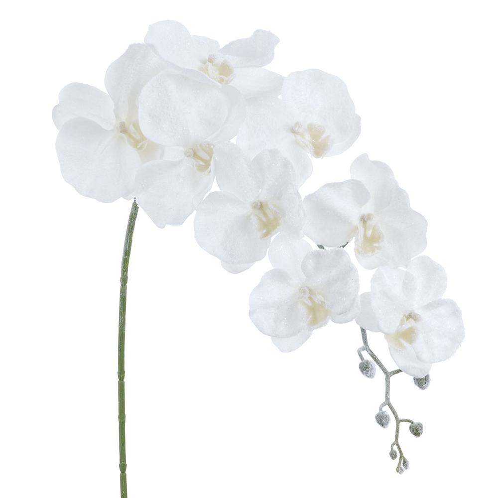 33'' SNOWED PHALANOPSIS WHITE ORCHID SPRAY
