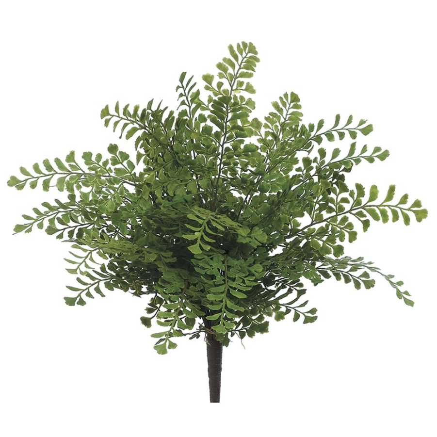 Maidenhair Fern Bush 16'' Green