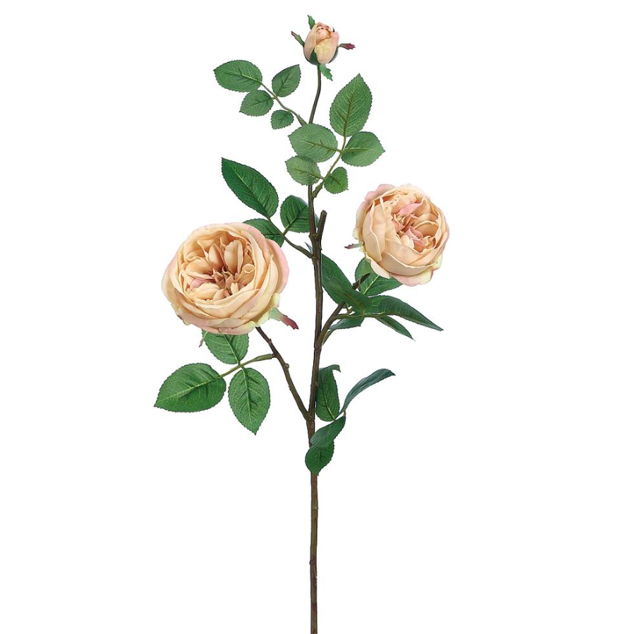 Cabbage Rose Spray Beige 29"