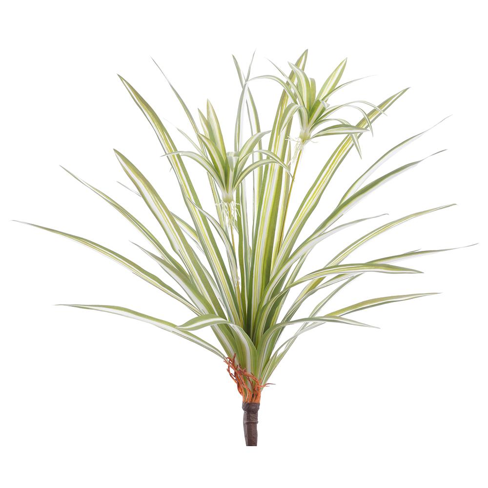 SPIDER PLANT BUSH- GREEN WHITE 17.72''