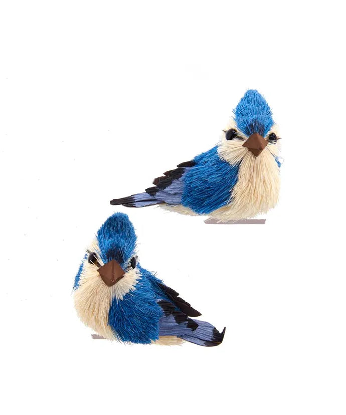 3.1" BLUE JAY W CLIP