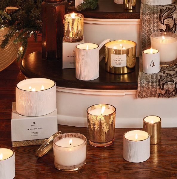 Frasier Fir Gilded 13 oz Poured Candle