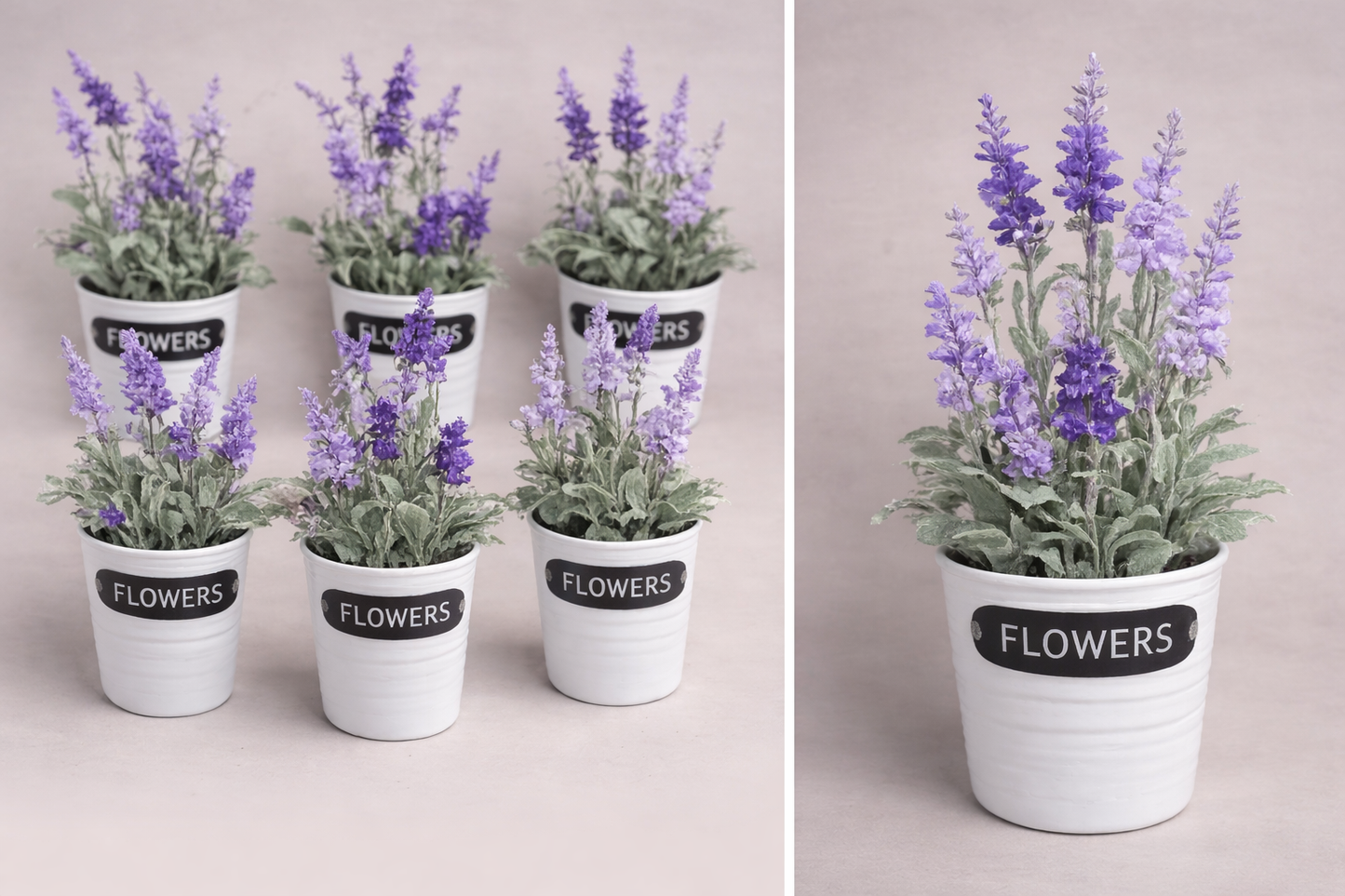Lavender Plant in Metal Pot