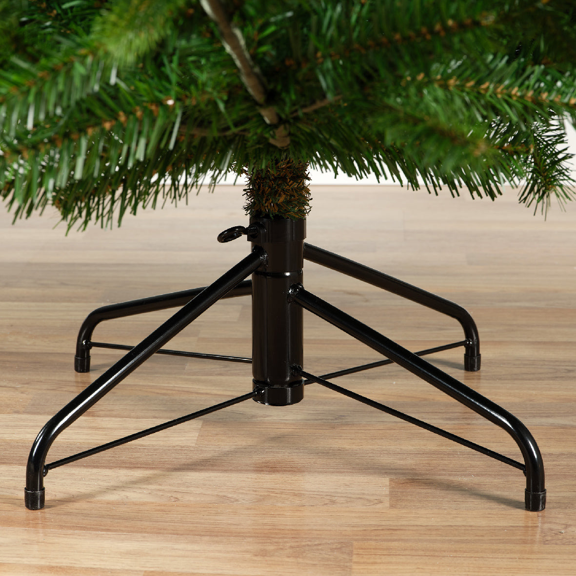 NORDMANN FIR-GREEN