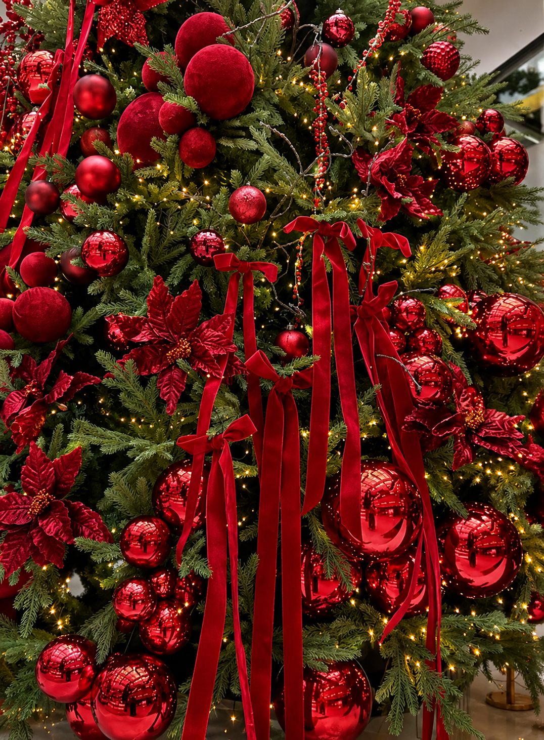 Rojo Velvet