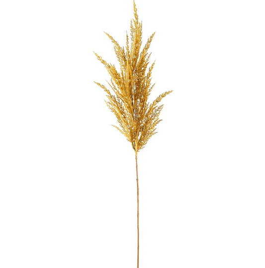 36'' PAMPAS GRASS SRAY MUSTARD