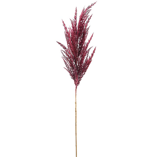 36'' PAMPAS GRASS SRAY BURGUNDY