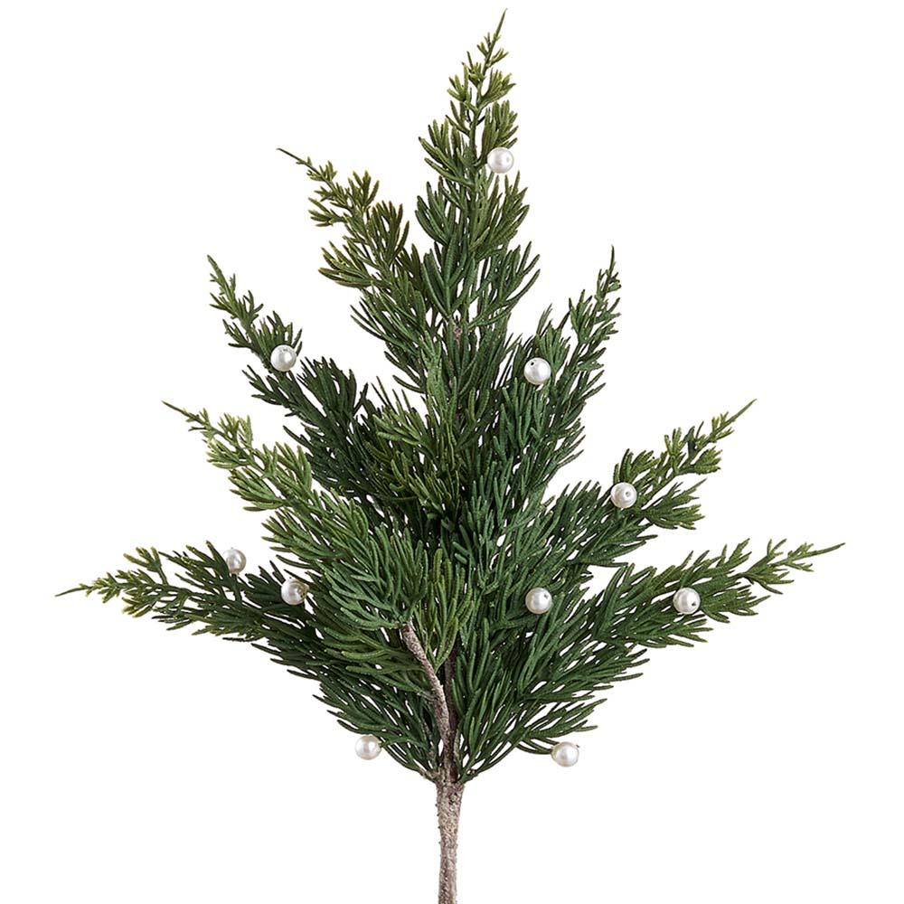 20'' PEARL JUNIPER PINE SRAY