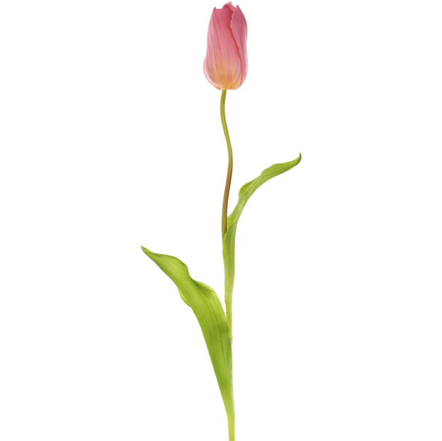 French Tulip Spray 18.75" - Violet