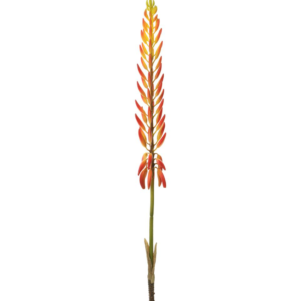 Agave Flower Spray  Two Tone Orange 28''