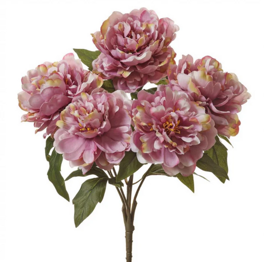 Peony Bush -Lavender 17''