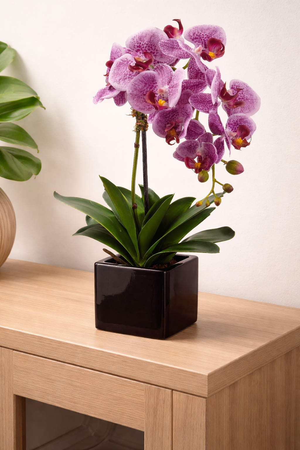 PHALAENOPSIS ORCHID IN CERAMIC POT- VIOLET 20''