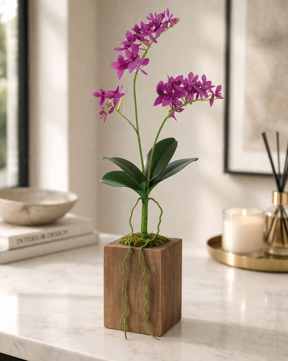 MINI PHALAENOPSIS ORCHID PLANT- ORCHID  14''