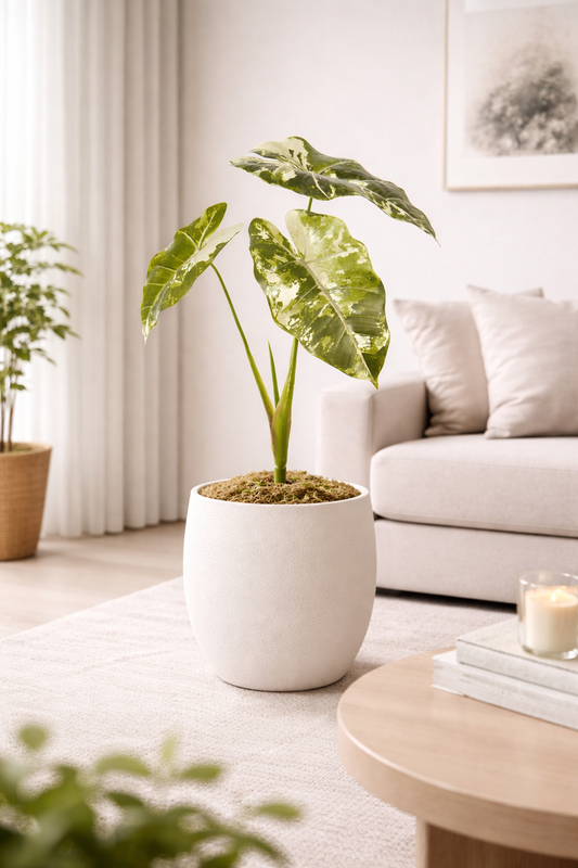 ELEPHANT PHILODENDRON LEAF BUSH- GREEN 32''