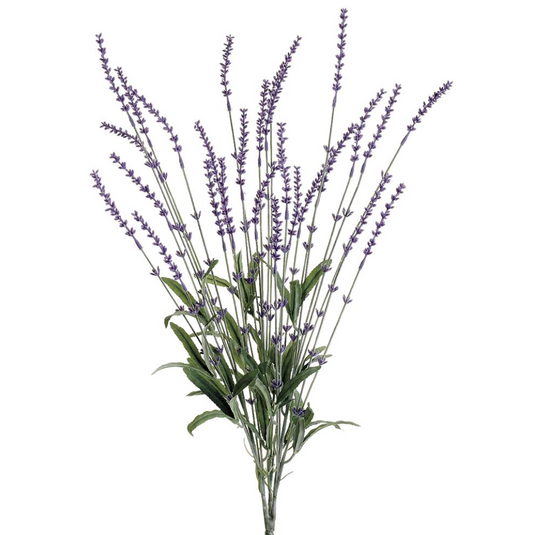 Lavender Bush 23''