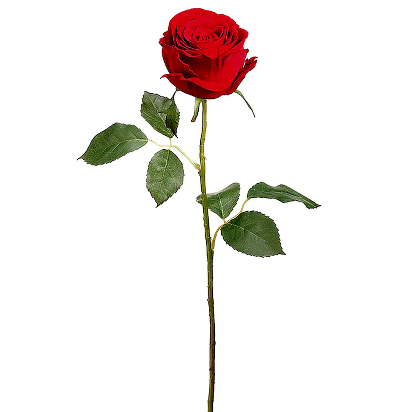 VELVET LARGE ROSE BUD SPRAY- RED 22''