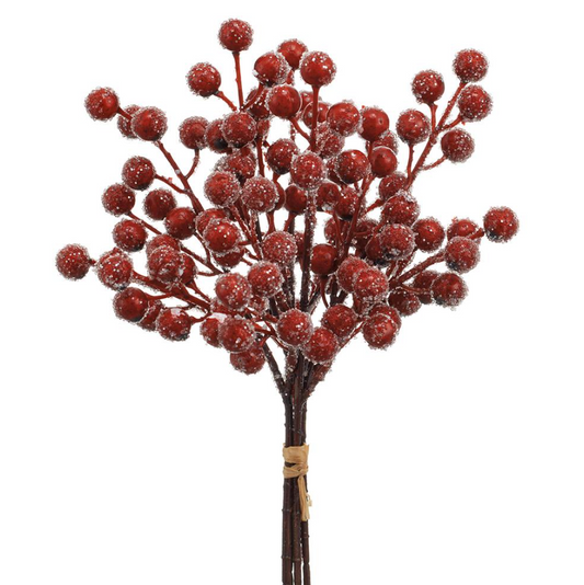 11'' ICED BERRY BUNDLE RED