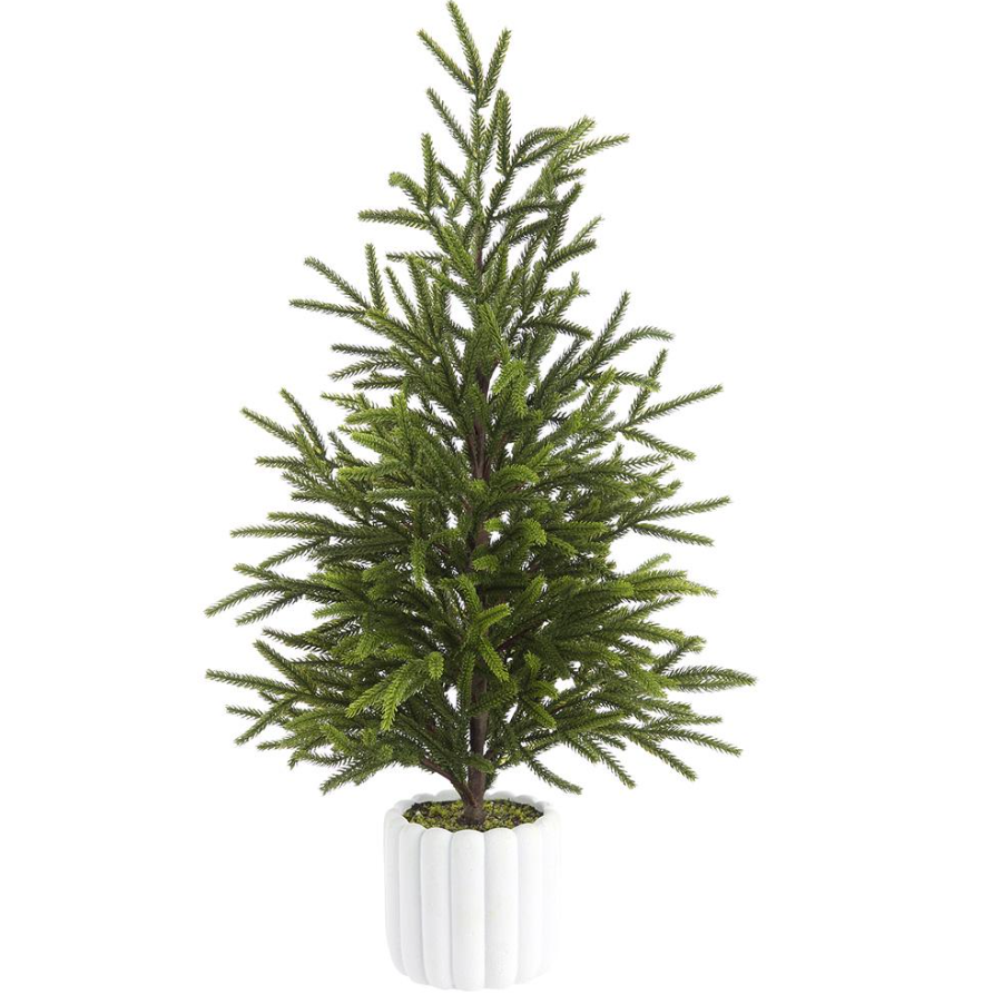 27" CYPRESS TREE IN CEMENT POT