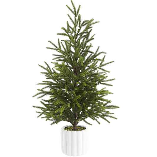 27" CYPRESS TREE IN CEMENT POT