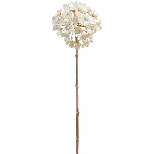 27'' PEARL ALLIUM SPRAY PEARL