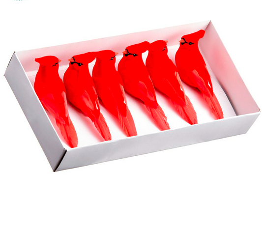 CARDINAL BOX OF 6 WITH CLIP