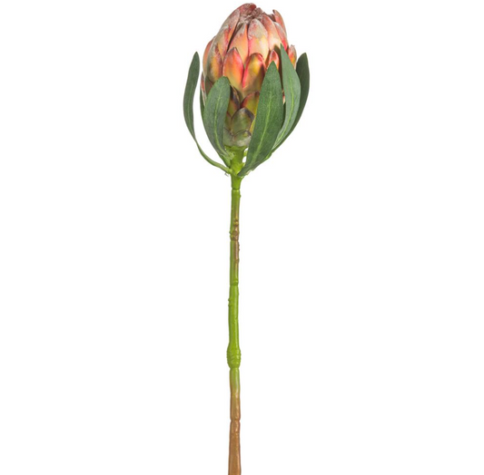 Protea Bud Spray Orange 18.5''