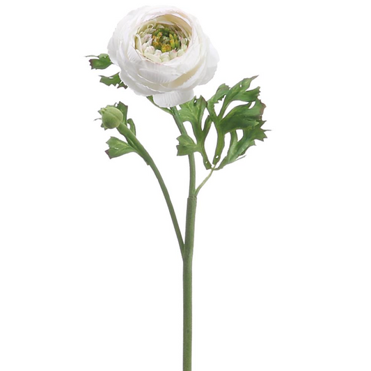 Ranunculus Spray Cream 13''