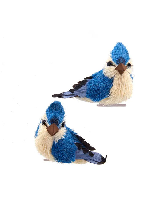 3.1" BLUE JAY W CLIP