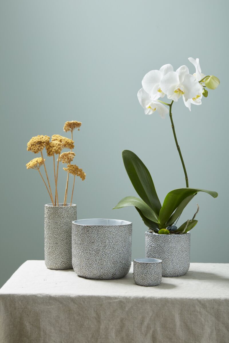 MILLIE CERAMIC POT 6.5"X6"