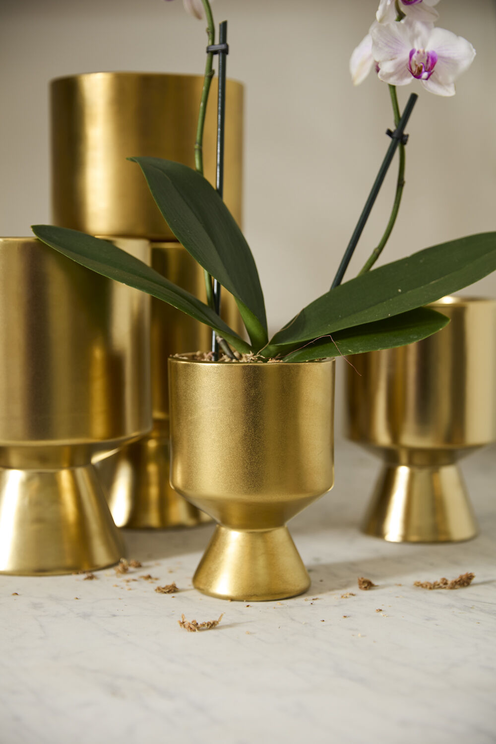 GOLD DE VIL CERAMIC POT 4.5"X6.25"