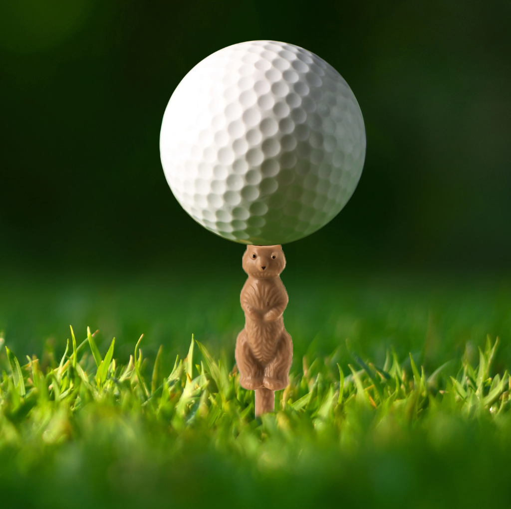 GOLPHER THE CADDIE GOLF TEE