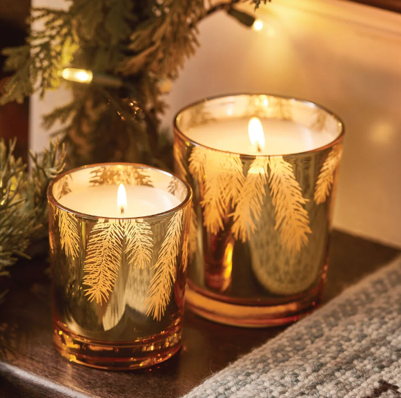 Frasier Fir Gilded 13 oz Poured Candle