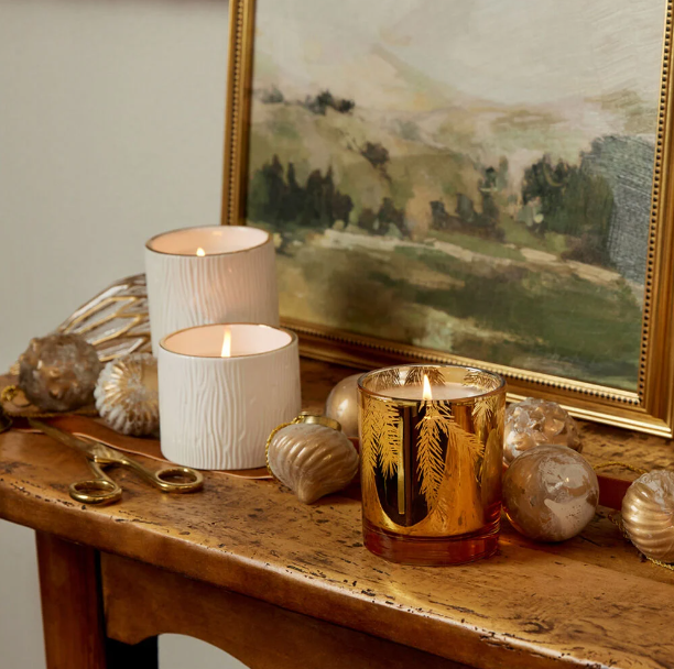 Frasier Fir Gilded Gold Poured Candle 6.5 oz