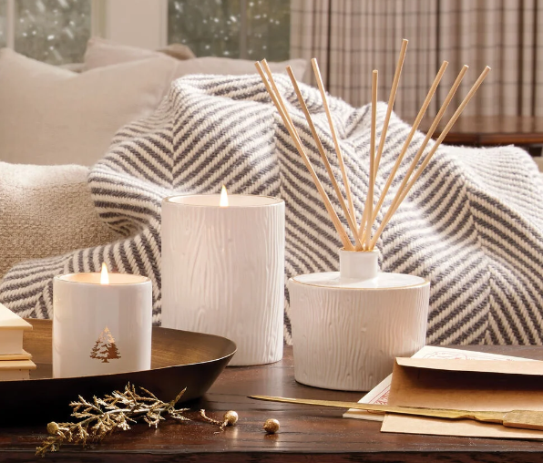 Frasier Fir Ceramic Medium Candle 11 OZ