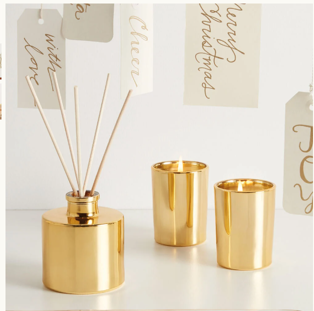 Frasier Fir Petite Gold Reed Diffuser 4 oz