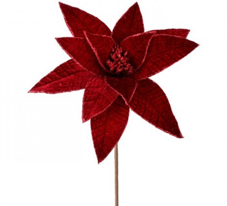 24" VELVET GLIT EDGE JWL POINSETTIA STEM