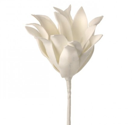 WHITE  BROMELIAD SUCCULENT 32"