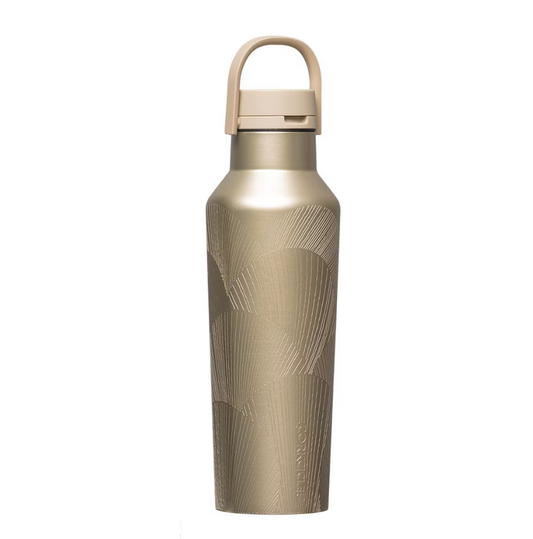 SPORT CANTEEN -CHAMPAGNE DREAM 20OZ