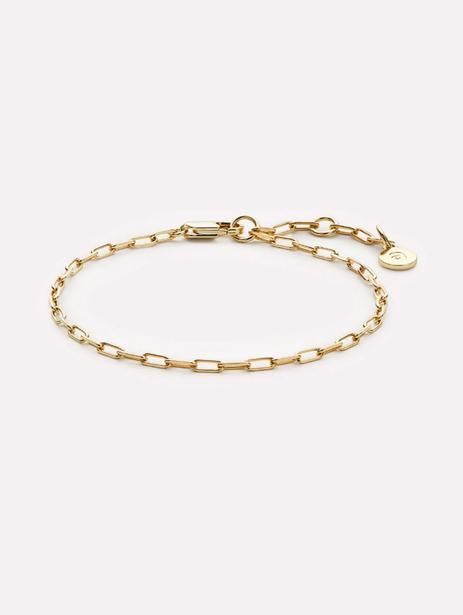 ANA LUISA LINK CHAIN BRACELET- POETRY SLIM