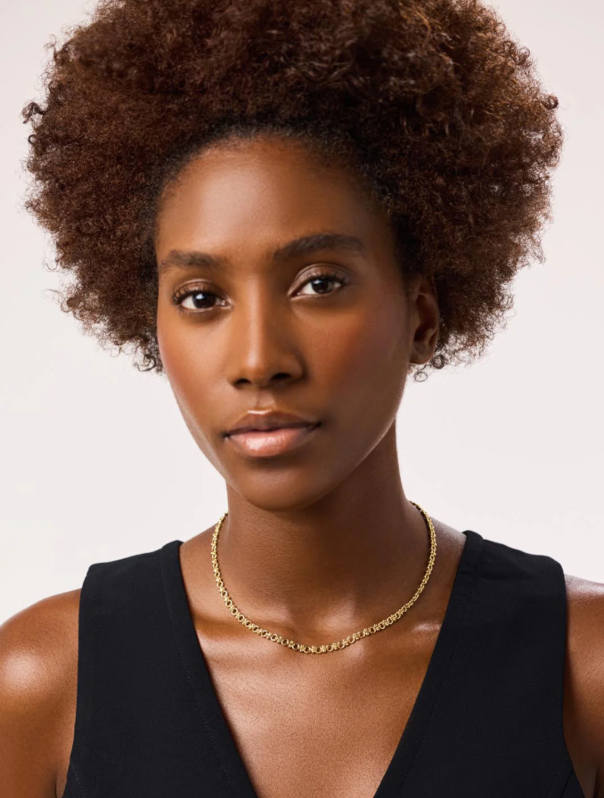 ANA LUISA THICK GOLD CHAIN NECKLACE- HAYDEN