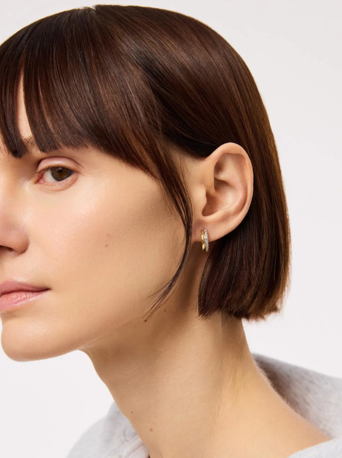 ANA LUISA HUGGIE EARRINGS-ASHER PAVE