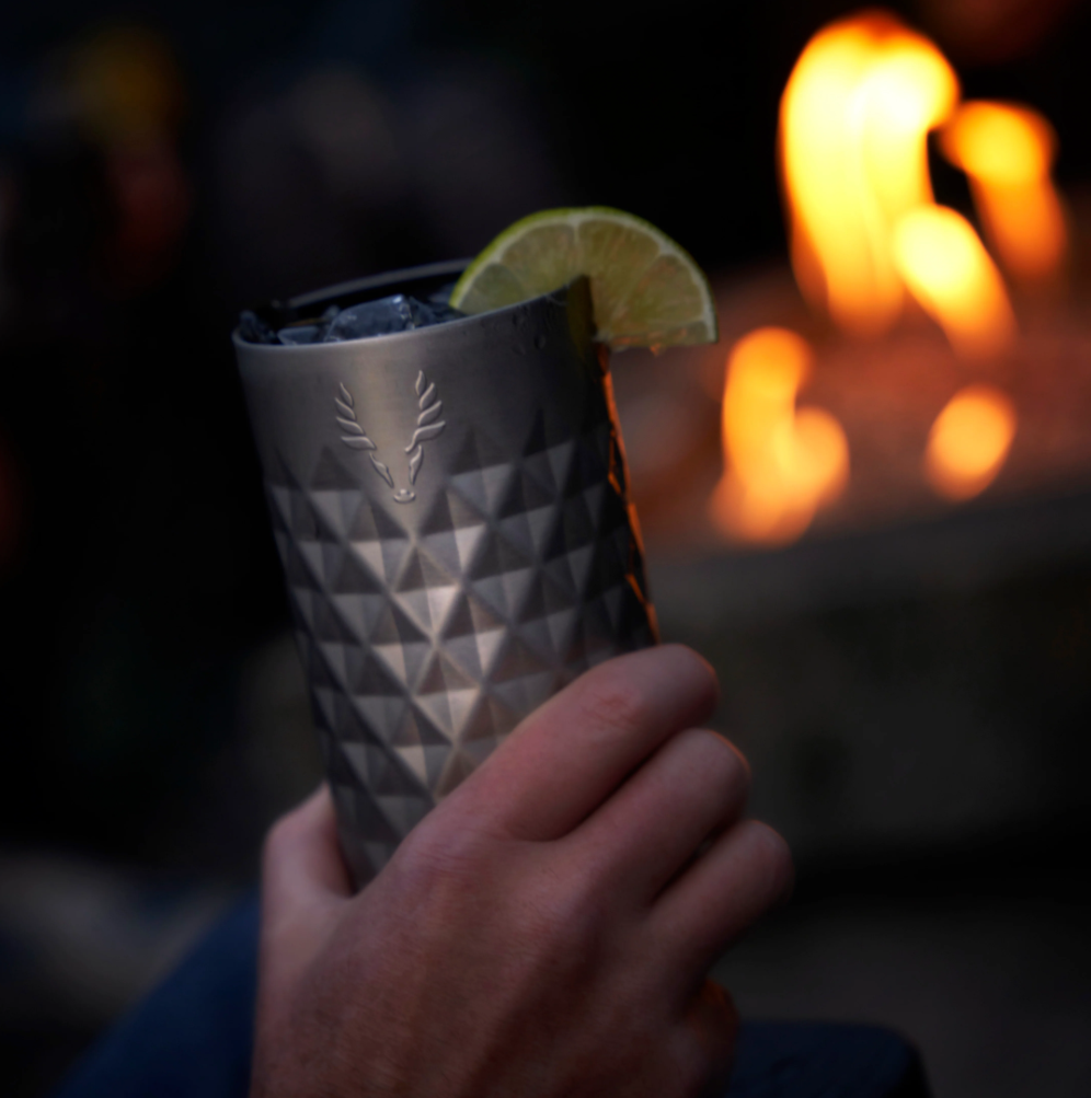 PARAGON STAINLESS STEEL HIGHBALL TUMBLER IN PLATINUM