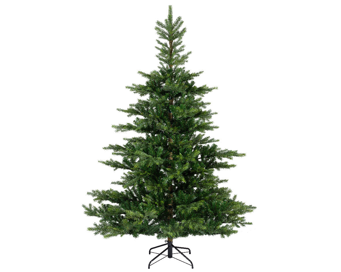 GRANDIS FIR-GREEN