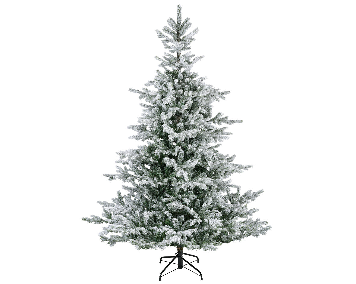 GRANDIS FIR-GREEN/WHITE
