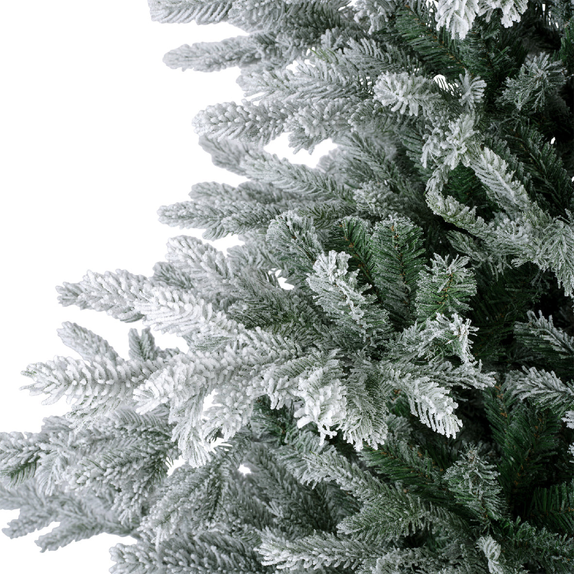 GRANDIS FIR-GREEN/WHITE