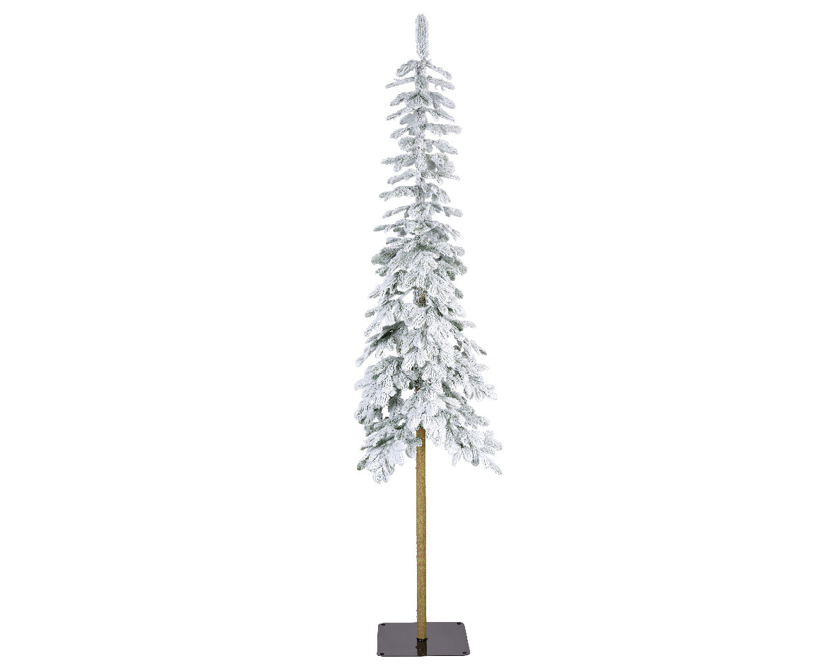 ALPINE FIR SNOWY-GREEN/WHITE