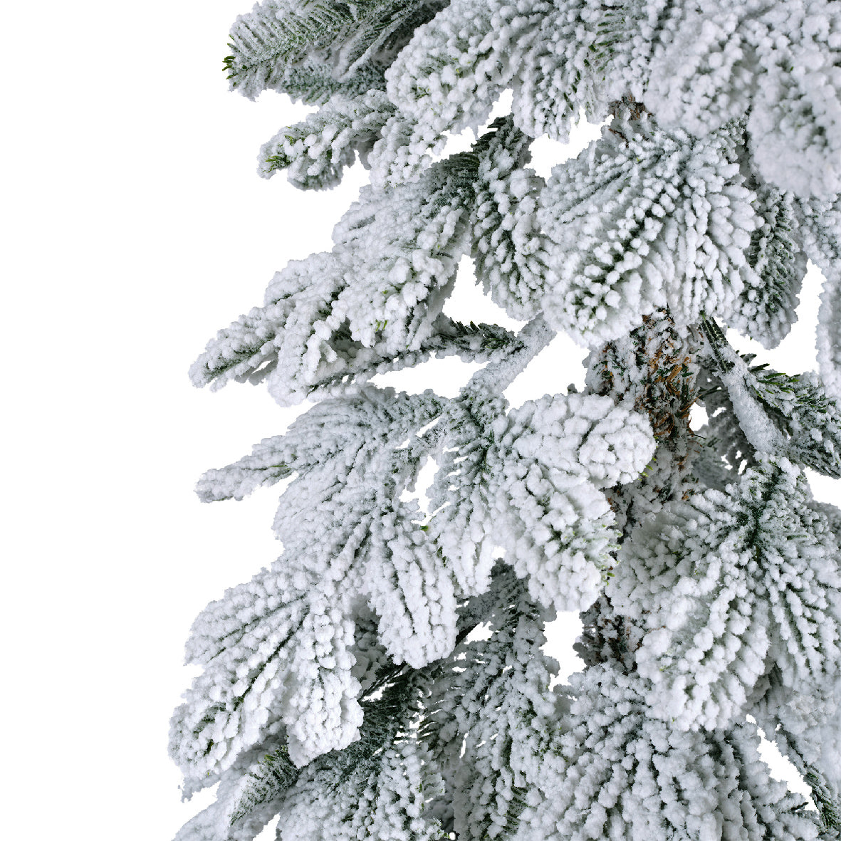 ALPINE FIR SNOWY-GREEN/WHITE