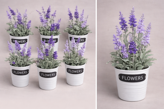 Lavender Plant in Metal Pot