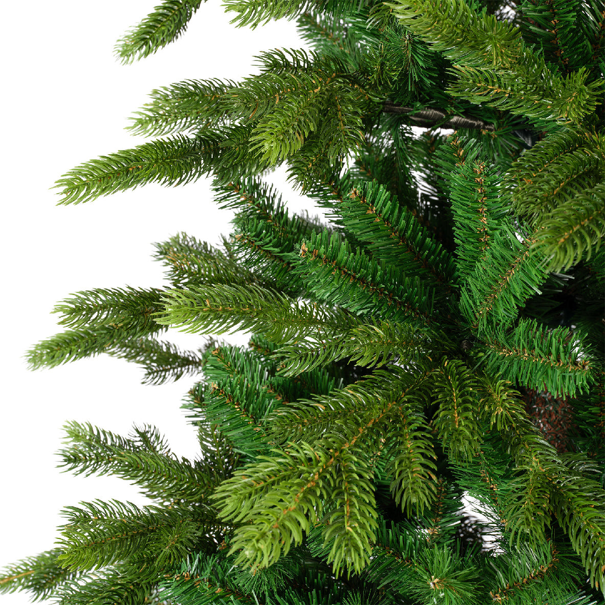 GALLOWAY SPRUCE-GREEN